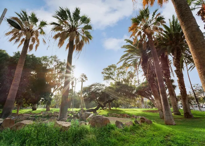 Precioso Cruz Hébergement de vacances Santa-Cruz de Ténérife